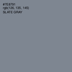 #7E8791 - Slate Gray Color Image